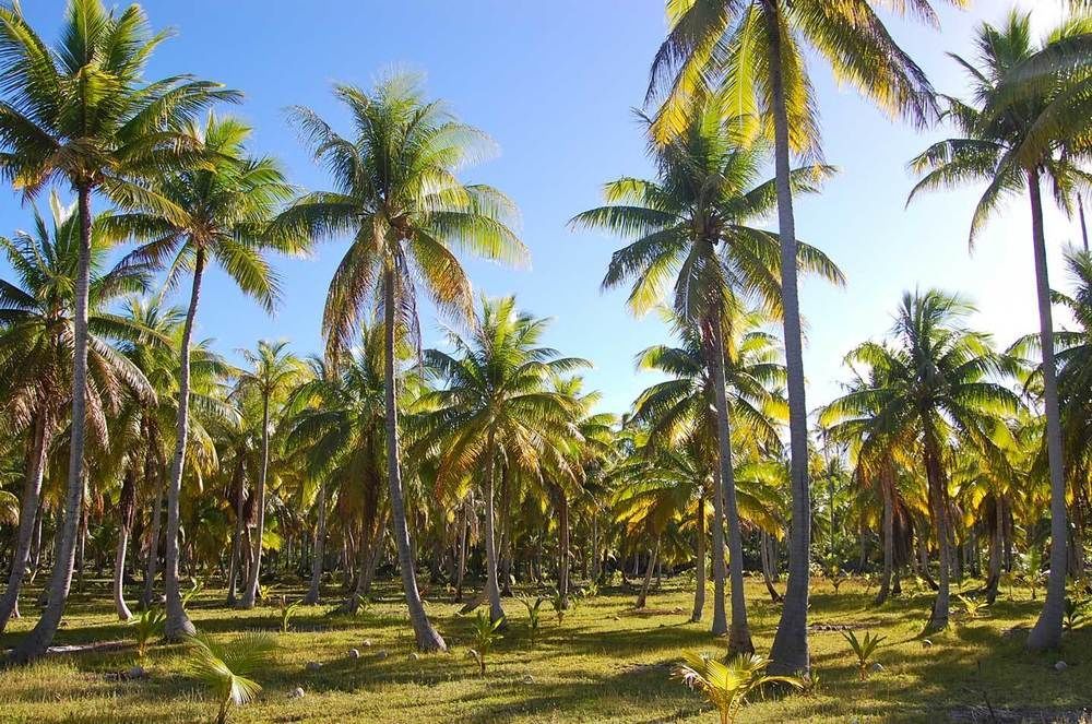 Pension Justine Tikehau Bagian luar foto